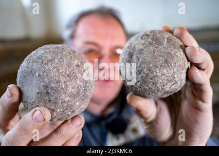 Stralsund, Germania. 28th Mar 2022. Jörg Ansorge, archeologo, mostra una palla di cannone in pietra in una ex palestra sui terreni del monastero di Santa Caterina. I reperti si trovano all'interno dell'ex monastero di San Katharinen, nella città vecchia di Stralsund. Gli edifici ospitano, tra gli altri, il Museo Marittimo, attualmente in fase di ristrutturazione. I reperti saranno resi accessibili ai visitatori in futuro. Credit: Stefan Sauer/dpa/Alamy Live News Foto Stock