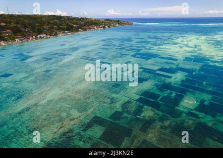 Antenna della via d'acqua tra Nusa Lembongan e Nusa Ceningan mostrando piccole barche ormeggiate sulla cima delle zone subacquee di alghe fa... Foto Stock