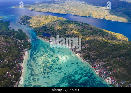 Vista aerea dell'agricoltura marina in acque turchesi lungo una costa, Parco Nazionale di Komodo; Nusa Tenggara Est, Indonesia Foto Stock