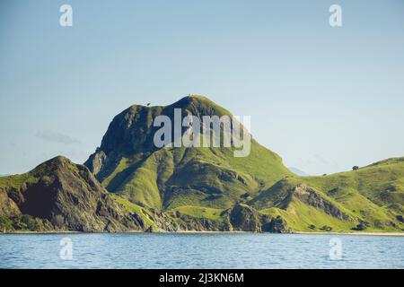 Aspre terre coperte di verde fogliame lungo la costa dell'oceano sotto un cielo blu, con uccelli in piedi sulle vette, Parco Nazionale Komodo, Est ... Foto Stock