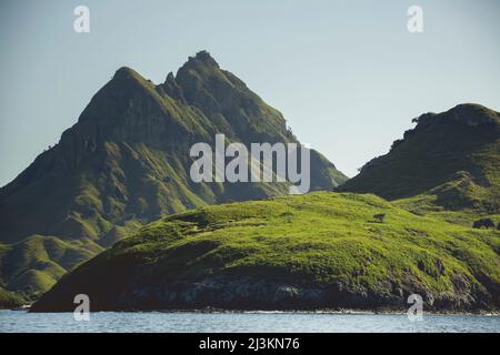 Aspre terre coperte di verde fogliame lungo la costa dell'oceano sotto un cielo blu, Parco Nazionale di Komodo; Nusa Tenggara Est, Indonesia Foto Stock