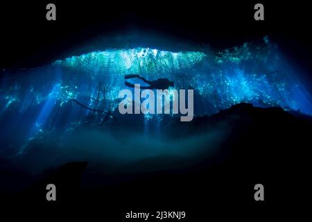 Silhouette di un subacqueo di caverna che esplora un cenote, o buco di sinuco; Tulum, Quintana Roo, Messico Foto Stock