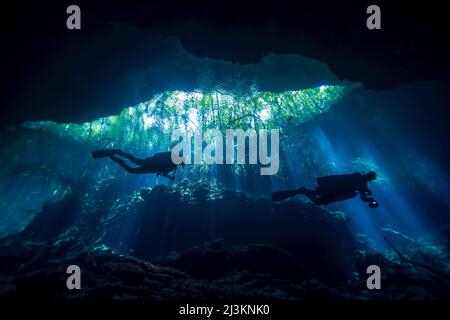 Silhouette di un subacqueo di caverna che esplora un cenote, o buco di sinuco; Tulum, Quintana Roo, Messico Foto Stock