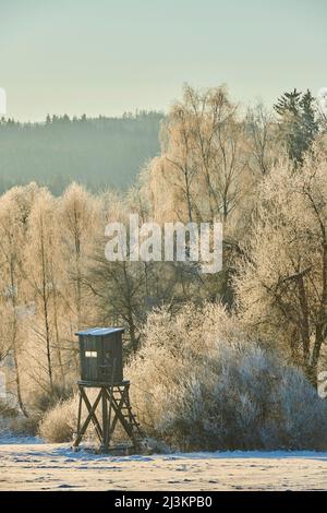 Perch in un paesaggio ghiacciato e nevoso all'alba; Baviera, Germania Foto Stock