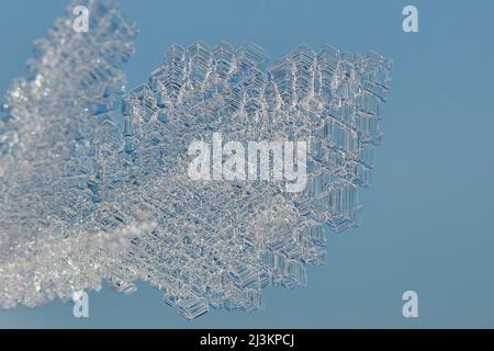 Primo piano dei cristalli di ghiaccio su sfondo blu; Baviera, Germania Foto Stock