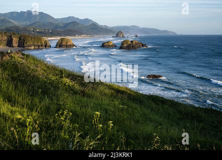 Prati e praterie sono visti a Chapman Point in Ecola state Park vicino Cannon Beach, Oregon, USA; Cannon Beach, Oregon, Stati Uniti d'America Foto Stock