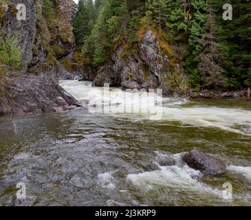 Fiume che scorre in un'area boschiva lungo l'autostrada 16 tra Terrace e Prince George in BC, Canada; British Columbia, Canada Foto Stock