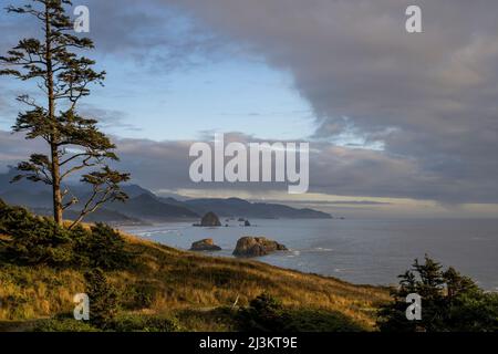 La luce serale bagna Chapman Point all'Ecola state Park sulla costa dell'Oregon; Cannon Beach, Oregon, Stati Uniti d'America Foto Stock