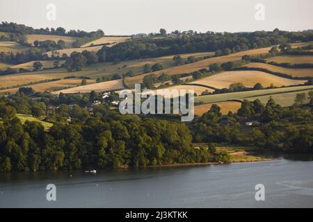 Un paesaggio agricolo estivo lungo il fiume nel sud dell'Inghilterra; River Teign, Teignmouth, Devon, Gran Bretagna. Foto Stock