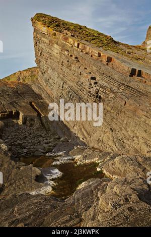 Scogliere della costa atlantica vicino a Hartland Point, Devon, Inghilterra.; Damehole Point, Devon, Gran Bretagna. Foto Stock