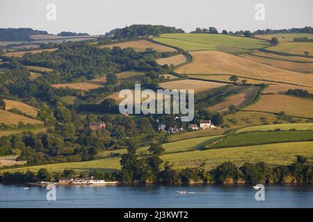 Un paesaggio agricolo estivo lungo il fiume nel sud dell'Inghilterra; River Teign, Teignmouth, Devon, Gran Bretagna. Foto Stock