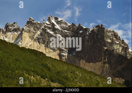 Cerro Nido de Condor visibile sopra la foresta di faggi del Sud nella Valle dell'Ascencio, Parco Nazionale Torres del Paine, Patagonia, Cile; Patagonia, Cile Foto Stock