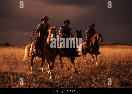 Tre cowboy che girano a cavallo con le nuvole di tempesta minacciose; Seneca, Oregon, Stati Uniti d'America Foto Stock