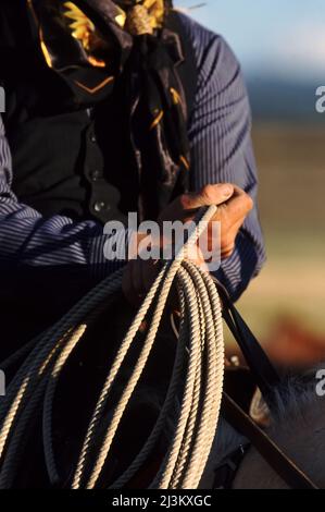 Cowboy a cavallo con lasso in corda in mano; Seneca, Oregon, Stati Uniti d'America Foto Stock