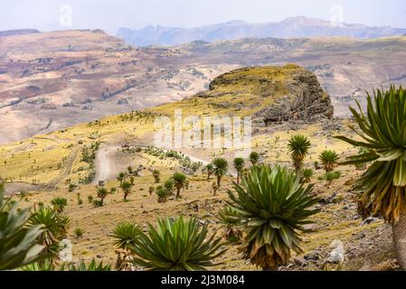 Strada sterrata che si snoda attraverso il vasto paesaggio del Parco Nazionale Simien; Etiopia Foto Stock