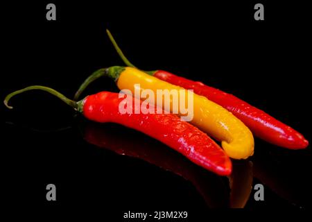 Peperoncini Chili su sfondo nero. Peperoncino caldo fresco rosso e giallo. Foto Stock