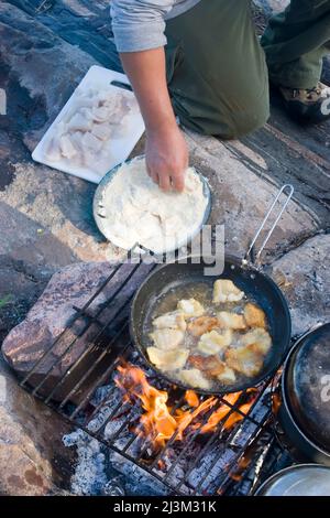 Frittura di filetti di pesce di Walleye su un fuoco da campeggio; Winisk River, Ontario settentrionale, Canada. Foto Stock