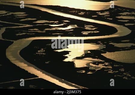 Vista aerea del Blackwater National Wildlife Refuge.; Chesapeake Bay, Maryland. Foto Stock