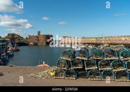 Le trappole di aragosta si accatastano lungo la riva con le barche ormeggiate nel piccolo e tranquillo porto Victoria a Dunbar, Scozia; Dunbar, East Lothian, Scozia Foto Stock