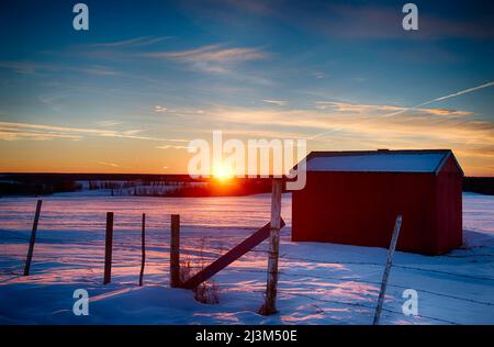 Tramonto sulla campagna in inverno con un capannone rosso in primo piano; Alberta, Canada Foto Stock