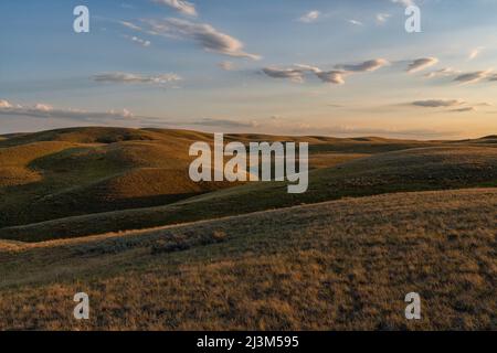 La luce del tardo giorno illumina le colline e i calanchi del Saskatchewan meridionale; Saskatchewan, Canada Foto Stock
