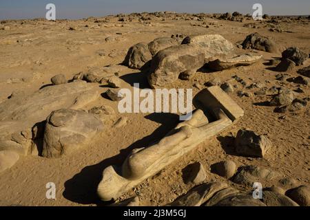 A Tumbus, una statua rotta del re Taharqa del periodo Kustite si trova sulla strada principale che segue la riva orientale del Nilo.; Kerma, Sudan, Egitto. Foto Stock