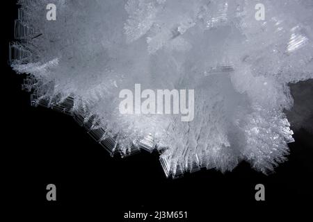 Dettagli di cristallo di ghiaccio appesi giù dal soffitto di Dark Star, un sistema di grotte calcaree in Uzbekistan Boysuntov Range.; Uzbekistan. Foto Stock