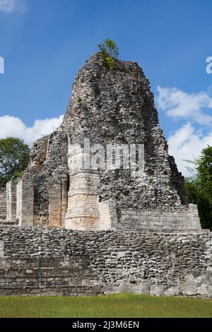 Rovine Maya, struttura 1, zona archeologica di Xpujil, stile Rio Bec, vicino Xpujil, Stato di Campeche, Messico; Messico Foto Stock