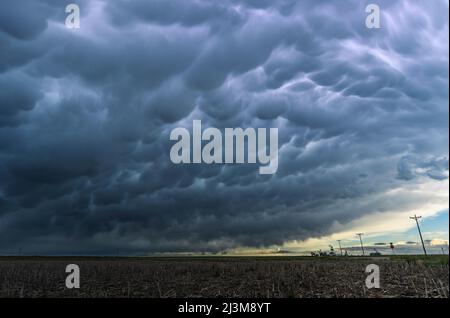 Lightning illumina un'enorme banca di nubi mammate che riempie il cielo sopra le grandi pianure; Colorado, Stati Uniti d'America Foto Stock