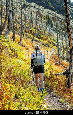 Escursionista femminile lungo un sentiero roccioso di montagna con alberi colorati sottobosco e bruciati, Waterton Lakes National Park; Waterton, Alberta, Canada Foto Stock