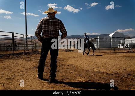 I detenuti cavalcano cavalli selvatici presso il Warm Springs Correctional Center; Carson City, Nevada, Stati Uniti d'America Foto Stock