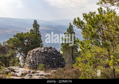 Craigendarroch Hill, vicino a Ballater nelle Highlands scozzesi Foto Stock