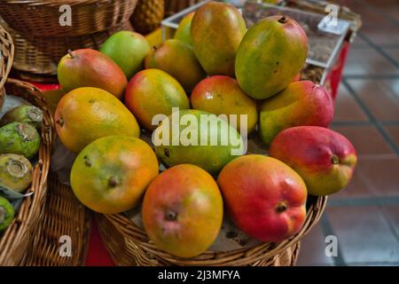 Varietà di manghi maturi, locali, freschi, identificati, su un cestino di vimini, per la vendita in un mercato tropicale degli agricoltori a Funchal, Madeira, Portogallo Foto Stock