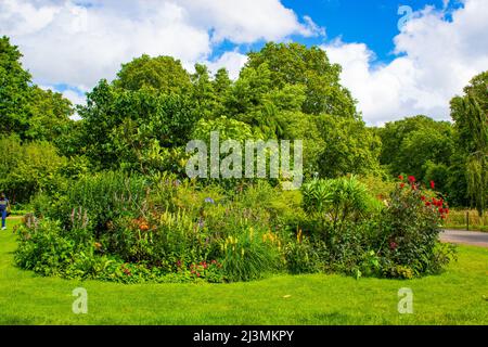 Il St James`s Park è un parco di 23 ettari nella città di Westminster, nel centro di Londra. Il parco è delimitato da Buckingham Palace a ovest. Inghilterra Foto Stock