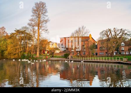 Mattina presto all'alba lungo il fiume avon in primavera. Stratford upon Avon, Warwickshire, Inghilterra Foto Stock