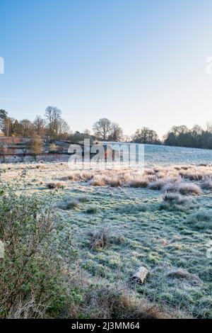 La mattina presto gelo e luce del sole attraverso un campo in Adderbury, Oxfordshire, Inghilterra Foto Stock