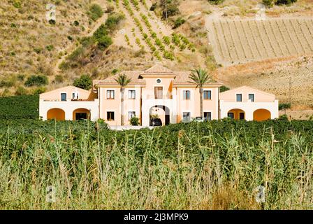 grande casa di campagna con palma Foto Stock