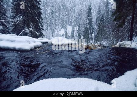 Inverno Nongeling scalinata letto fiume nelle rive innevate. Europa settentrionale Foto Stock