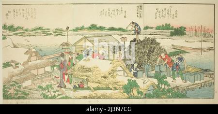 Pagine del libro illustrato "viste panoramiche lungo le rive del fiume Sumida (Ehon Sumidagawa ryogan ichiran)", Giappone, 1801, 1804, o 1806. Foto Stock