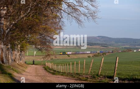 Locomotiva diesel Freightliner classe 70 che passa attraverso la campagna scozzese a Carstairs, sulla linea principale della costa occidentale, con un trasporto intermodale di container Foto Stock