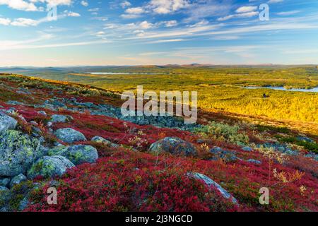 Paesaggio autunnale sul Monte Dundret con colori rosso e arancione e montagne sullo sfondo, Gällivare, Lapponia svedese, Svezia Foto Stock