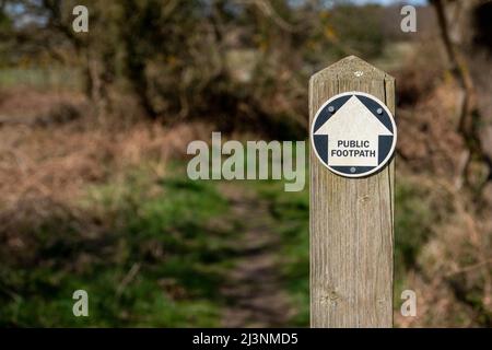 Un unico palo di legno con un disco di cartello del sentiero con una freccia direzionale bianca che punta direttamente davanti ad un percorso ombreggiato attraverso il bosco Foto Stock