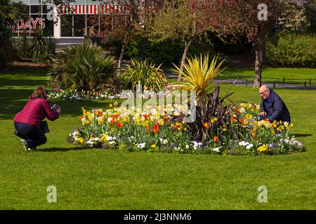 Bournemouth, Dorset Regno Unito. 9th aprile 2022. Tempo britannico: Soleggiato e piacevole sensazione di calore al sole come fiori colorati fioriscono nei giardini di Bournemouth. Credit: Carolyn Jenkins/Alamy Live News Foto Stock