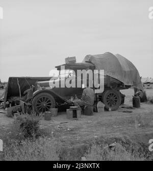 Raccoglitrice di patate nel campo vicino a Shafter, California. Foto Stock