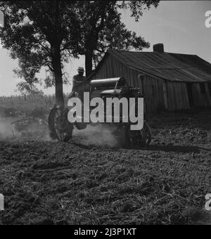 Trattore e conducente sulla piantagione Aldridge. Mississippi. Foto Stock