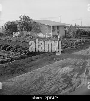 Tipo di casa a Garden Homes, Arvin (Kern County), California. Si tratta di un progetto di alloggio di Farm Security Administration per lavoratori agricoli a basso reddito. L'affitto di otto dollari e venti centesimi al mese comprende elettricità e acqua. Foto Stock