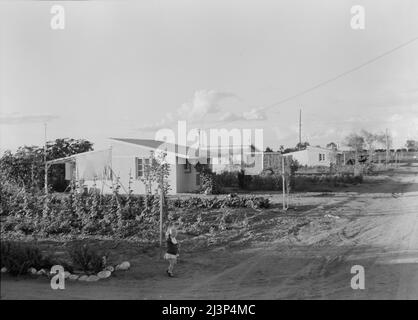 Tipo di casa a "Garden Homes", Kern County, California. Venti case di questo tipo sono state completate e sono occupate su un tratto adiacente al campo di lavoro migratorio di Arvin. L'affitto è di otto dollari e venti centesimi al mese, che include l'elettricità e l'acqua. Foto Stock