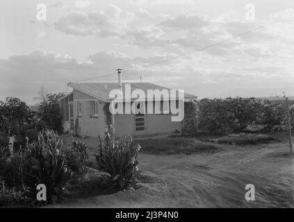 Tipo di casa a "Garden Homes", Kern County, California. Venti case di questo tipo sono state completate e sono occupate su un tratto adiacente al campo di lavoro migratorio di Arvin. L'affitto è di otto dollari e venti centesimi al mese, che include l'elettricità e l'acqua. Foto Stock