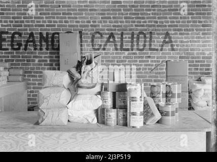 Le materie prime al banco rappresentano due settimane di assegnazione per quattro persone. Fotografia fatta in Farm Security Administration (FSA) stazione di distribuzione per borse di emergenza di cibo e abbigliamento a lavoratori agricoli indigenti. Bakersfield, California. Foto Stock