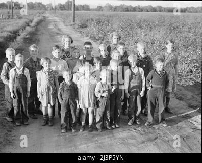 Dieci famiglie sono state istituite dalla FSA (Farm Security Administration) nella Fattoria mineraria della Cooperativa del Re, un vecchio ranch di 500 acri, che opereranno come unità di fattoria, allevando cotone, erba medica, e prodotti lattiero-caseari per colture cash. Aeroporto di Tulare County, California. Foto Stock